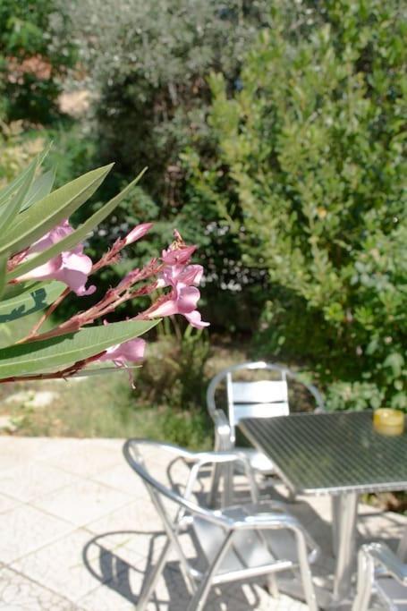 Anadora 2: Hospitable Stone House With Yard Apartment Alexandroupoli Exterior photo
